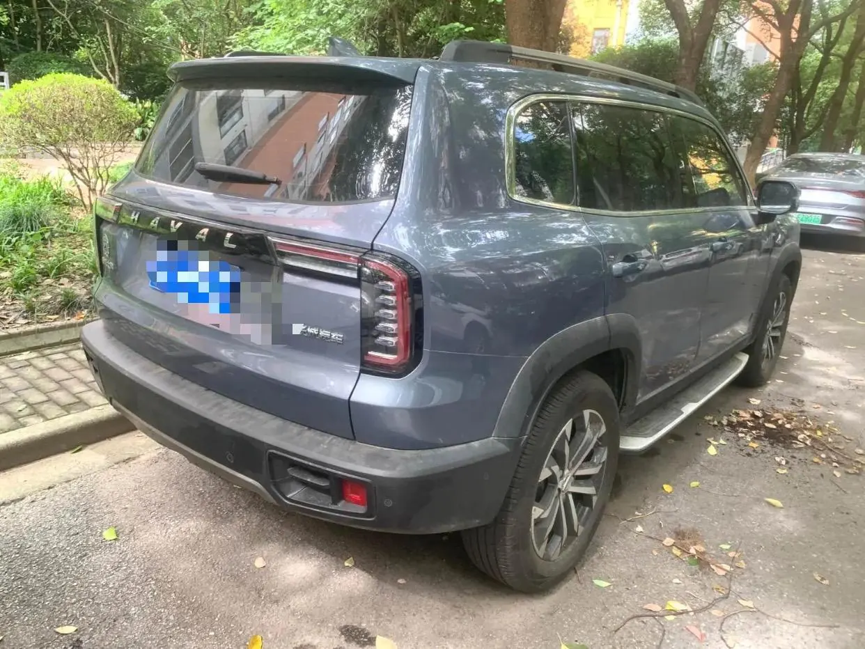 Haval 2022 big dog 1.5T two-wheel drive horse dog version automatic gear 11