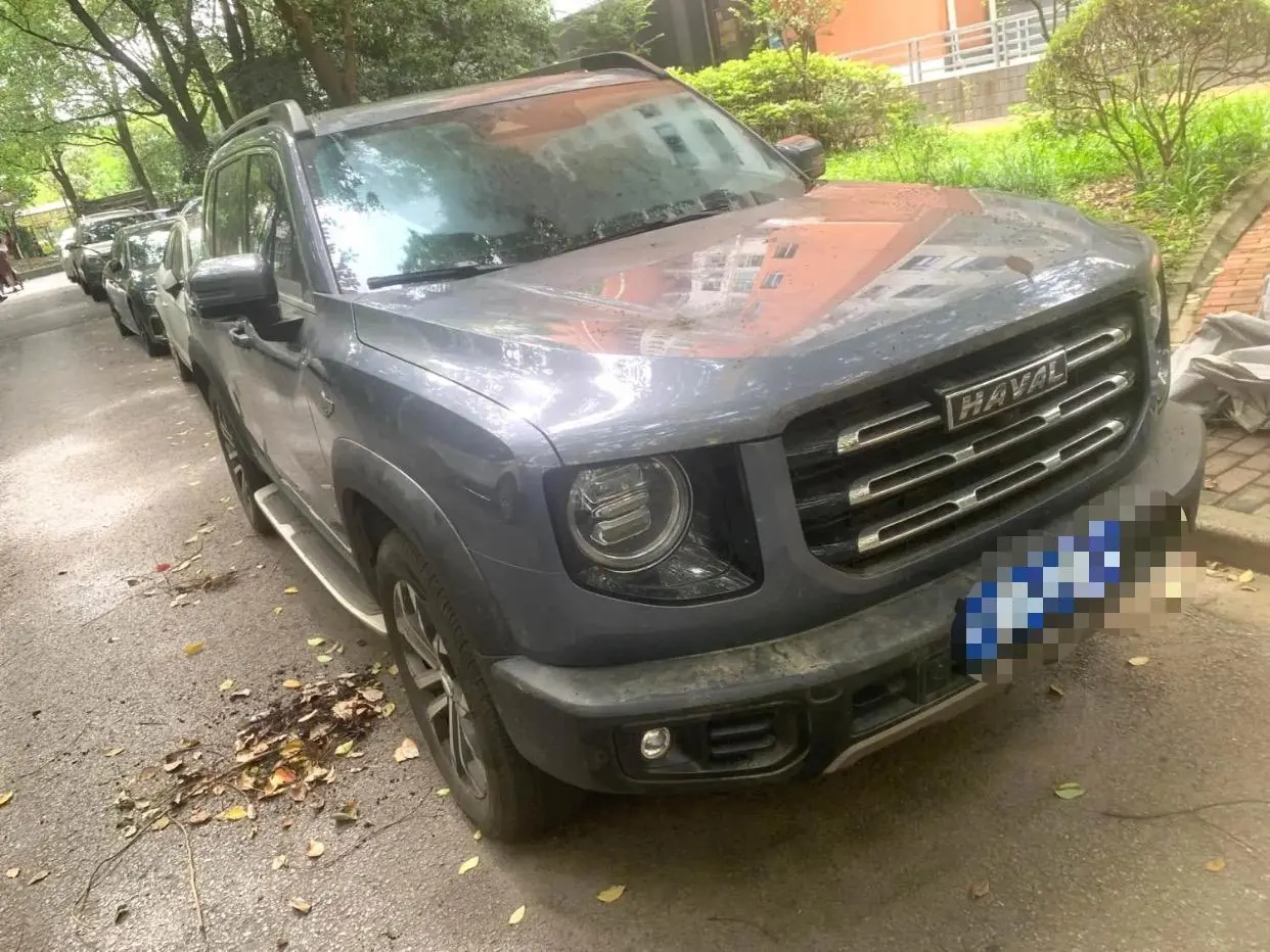 Haval 2022 big dog 1.5T two-wheel drive horse dog version automatic gear 2