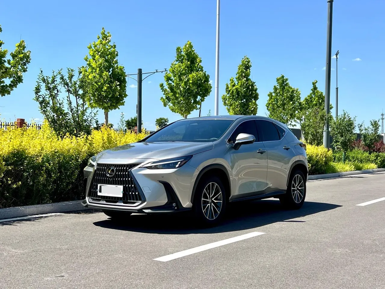 Open image lightbox: Lexus NX (Imported) 2022 NX260 2.5 Chuangyue Edition Automatic Gear