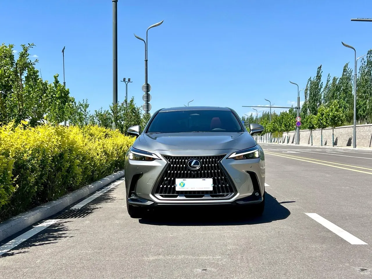 Lexus NX (Imported) 2022 NX260 2.5 Chuangyue Edition Automatic Gear 2