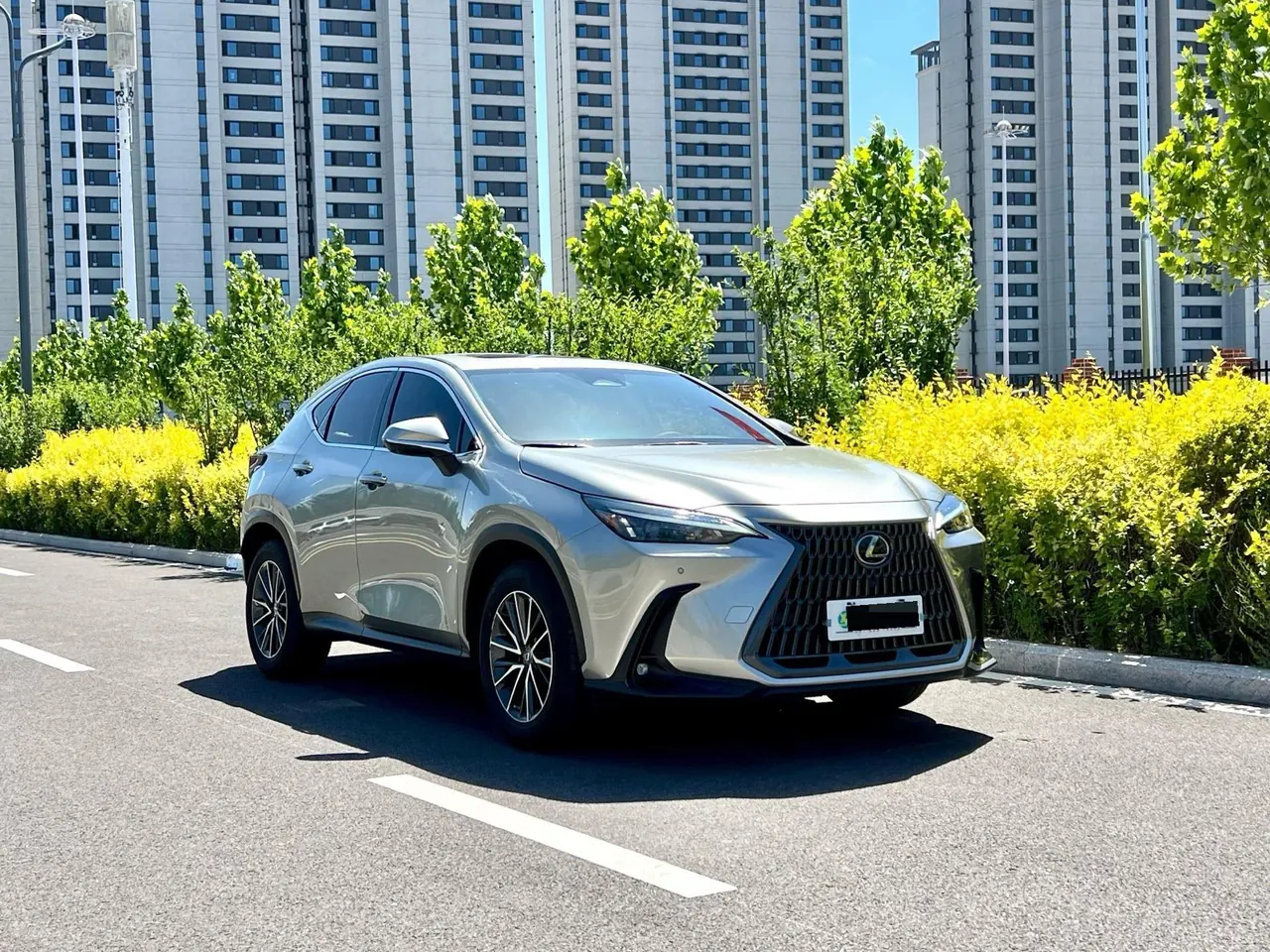 Lexus NX (Imported) 2022 NX260 2.5 Chuangyue Edition Automatic Gear 3