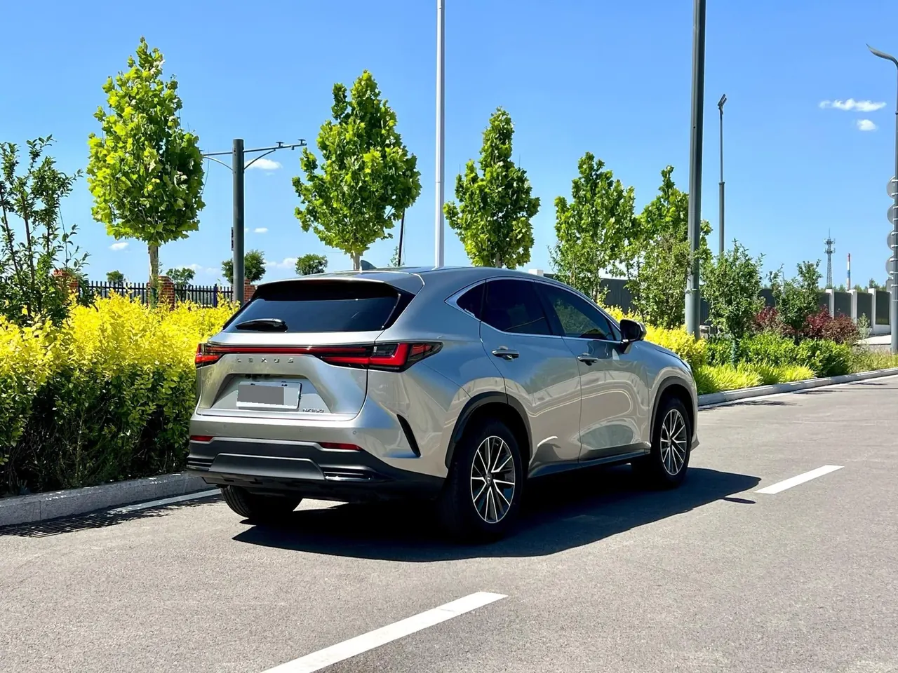 Lexus NX (Imported) 2022 NX260 2.5 Chuangyue Edition Automatic Gear 5