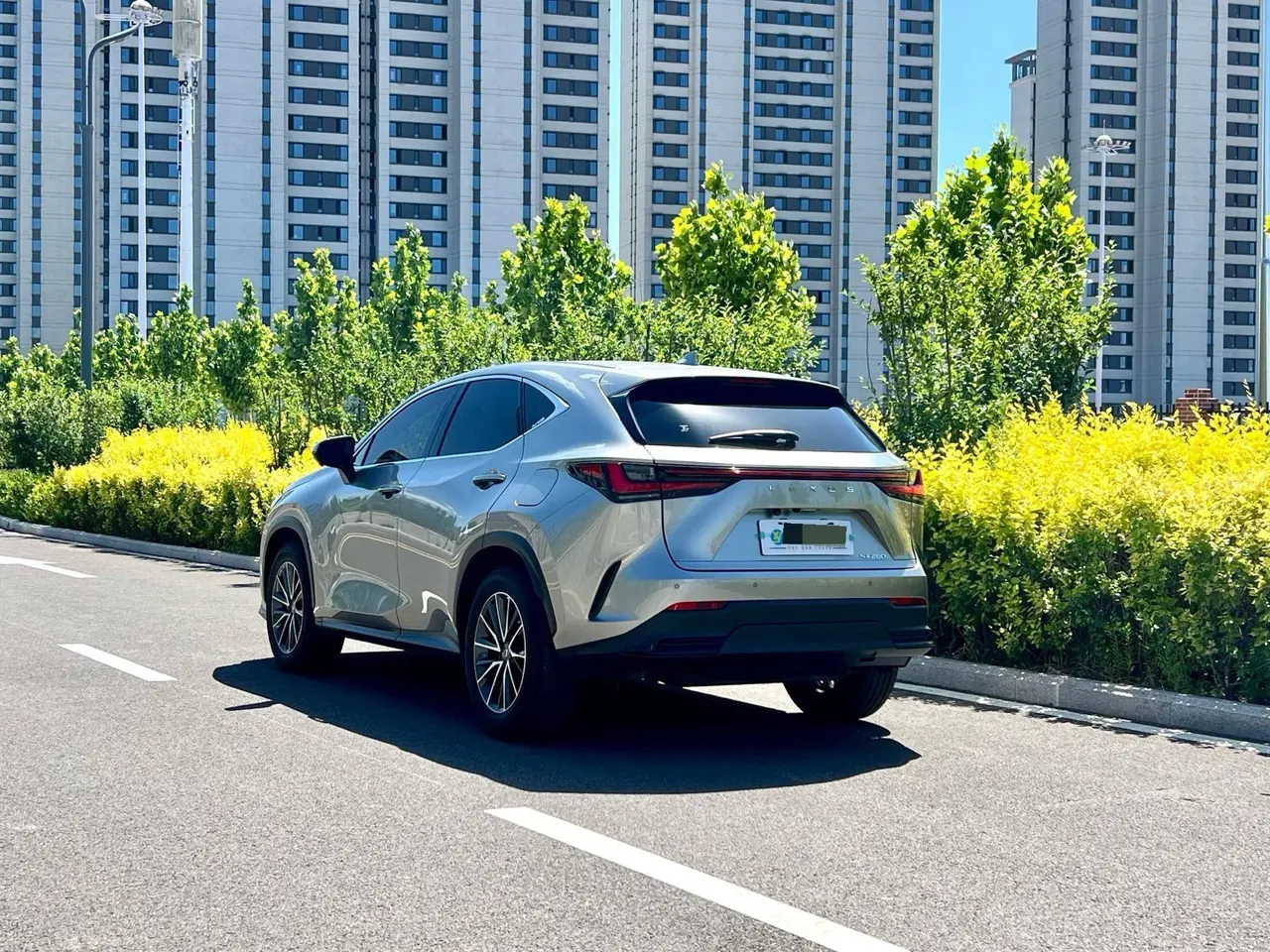 Lexus NX (Imported) 2022 NX260 2.5 Chuangyue Edition Automatic Gear 6