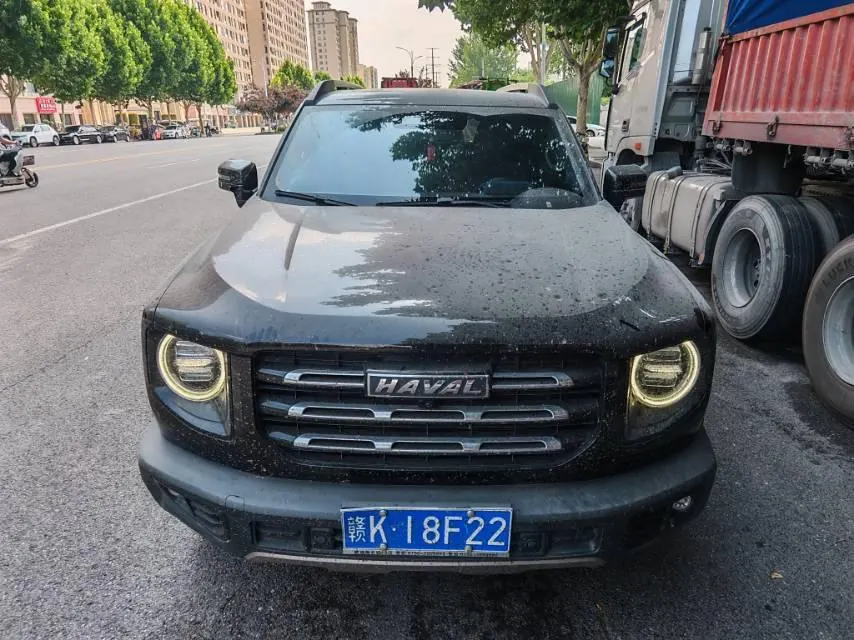 Haval 2022 big dogs 1.5T two-wheel-drive border animal husbandry version automatic gear 2