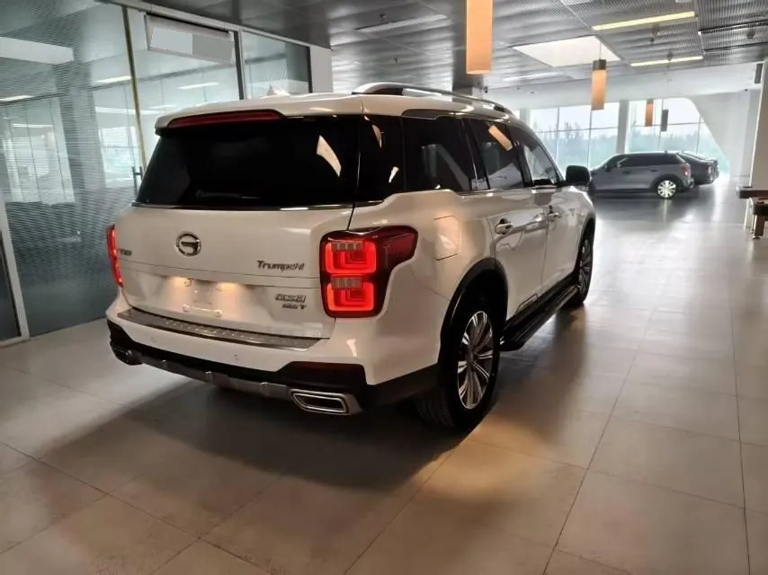 Chuanqi 2020 GS8 2.0T 390T Two-Drive Deluxe Zhilian Edition Seven-seat Automatic Gear 4