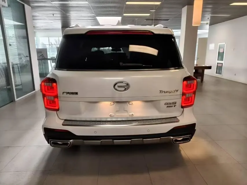 Chuanqi 2020 GS8 2.0T 390T Two-Drive Deluxe Zhilian Edition Seven-seat Automatic Gear 5