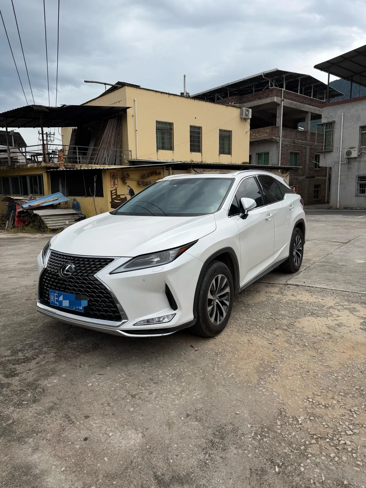 Lexus RX (Imported) 2020 RX300 2.0T Two-Drive Elite Edition (Revised) Automatic Gear - View 1