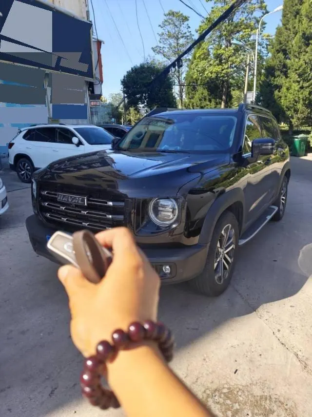 Haval 2021 Big Dog 1.5T Two-Drive Horse Dog Edition (Revised) Automatic Gear - View 1