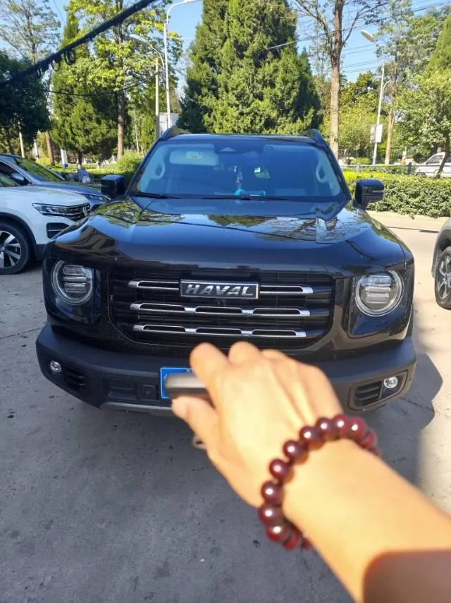 Haval 2021 Big Dog 1.5T Two-Drive Horse Dog Edition (Revised) Automatic Gear 3