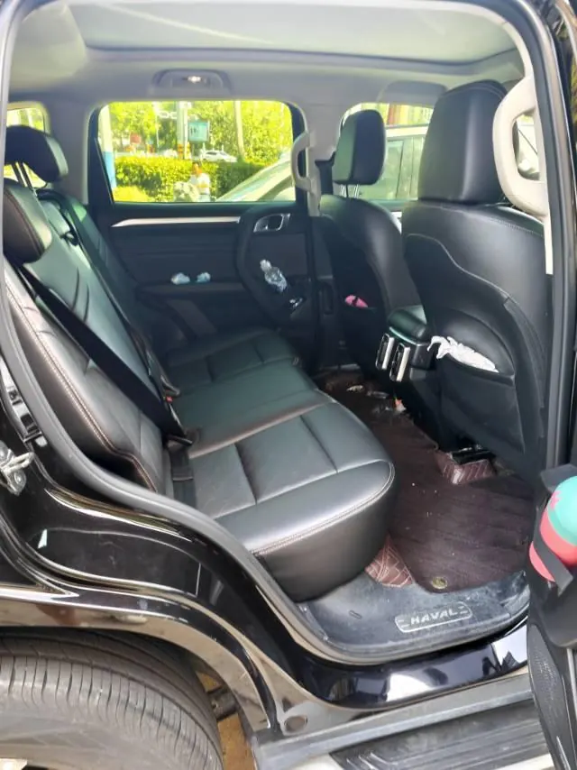 Haval 2021 Big Dog 1.5T Two-Drive Horse Dog Edition (Revised) Automatic Gear 4