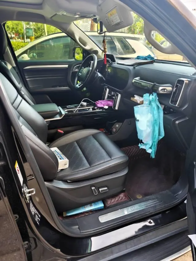 Haval 2021 Big Dog 1.5T Two-Drive Horse Dog Edition (Revised) Automatic Gear 5