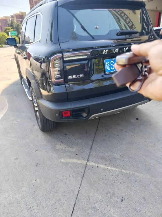Haval 2021 Big Dog 1.5T Two-Drive Horse Dog Edition (Revised) Automatic Gear 6