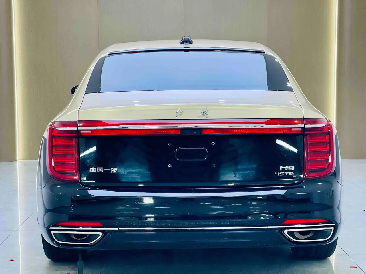 HongQi 2020 H9 48V 2.0T Zhilian Flag Edition Automatic Gear 4