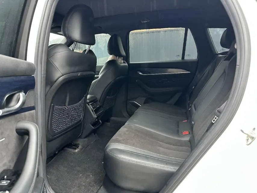 Geely 2024 XingyueL (Monjaro) 2.0TD high-power two-wheel drive cloud version automatic gear 4