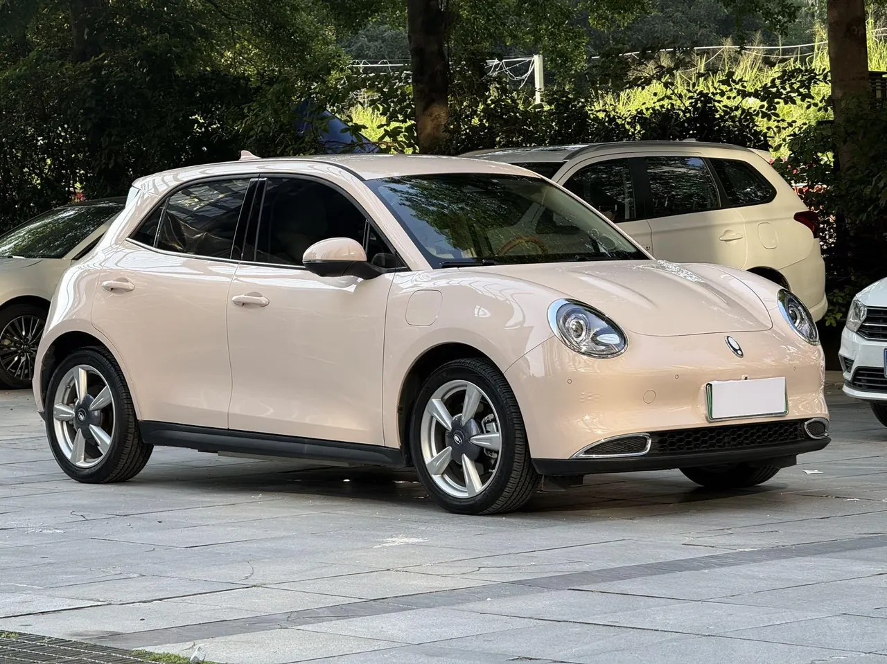 Ora 2024 good cat 401km luxury automatic gear 3