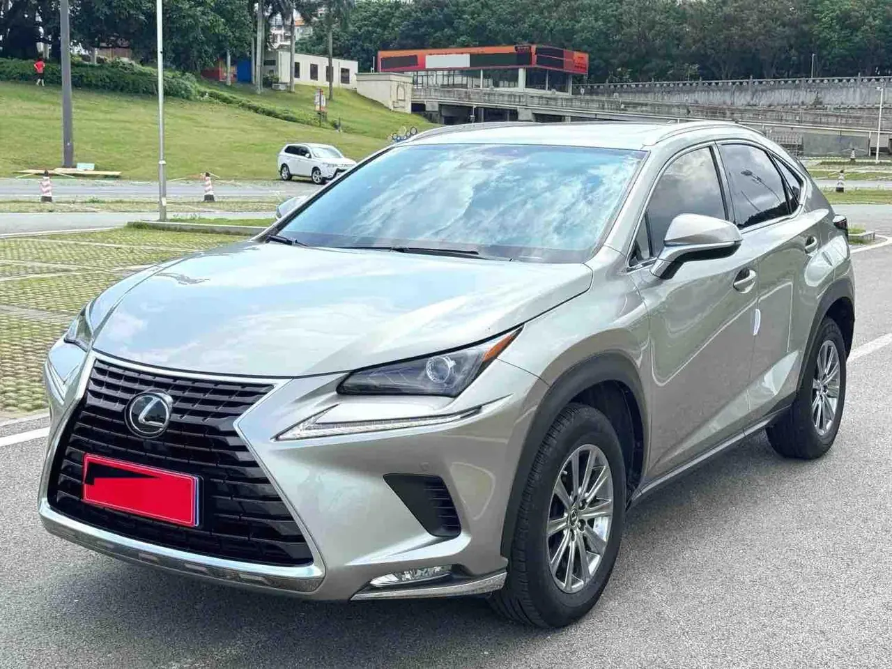 Lexus NX (Imported) 2020 NX200 2.0 Stepless Front Edition Automatic Gear - View 1