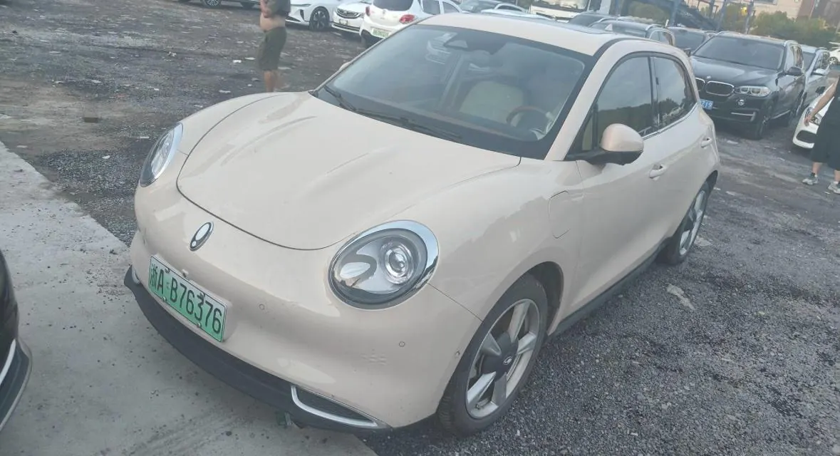 Ora 2023 Good Cat 401km Standard Endurance Luxury Lithium Iron Phosphate Automatic Gear - View 1