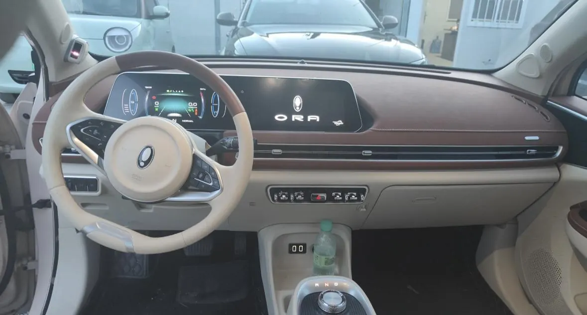 Ora 2023 Good Cat 401km Standard Endurance Luxury Lithium Iron Phosphate Automatic Gear 4
