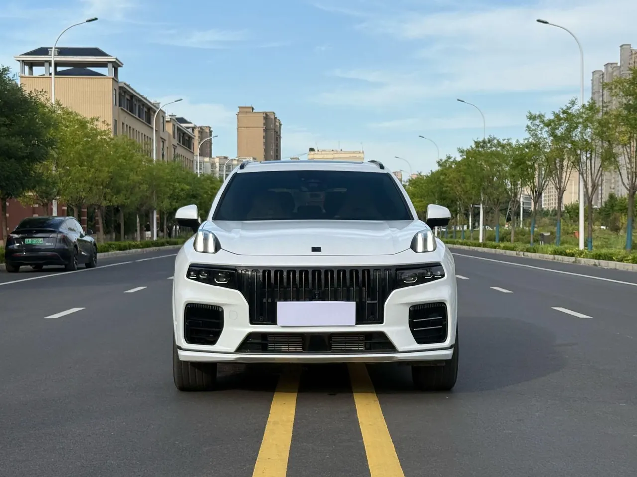 LYNK&amp;CO 2024 LYNK&amp;CO 09 EM-P 2.0TD PRO7 automatic gear 2