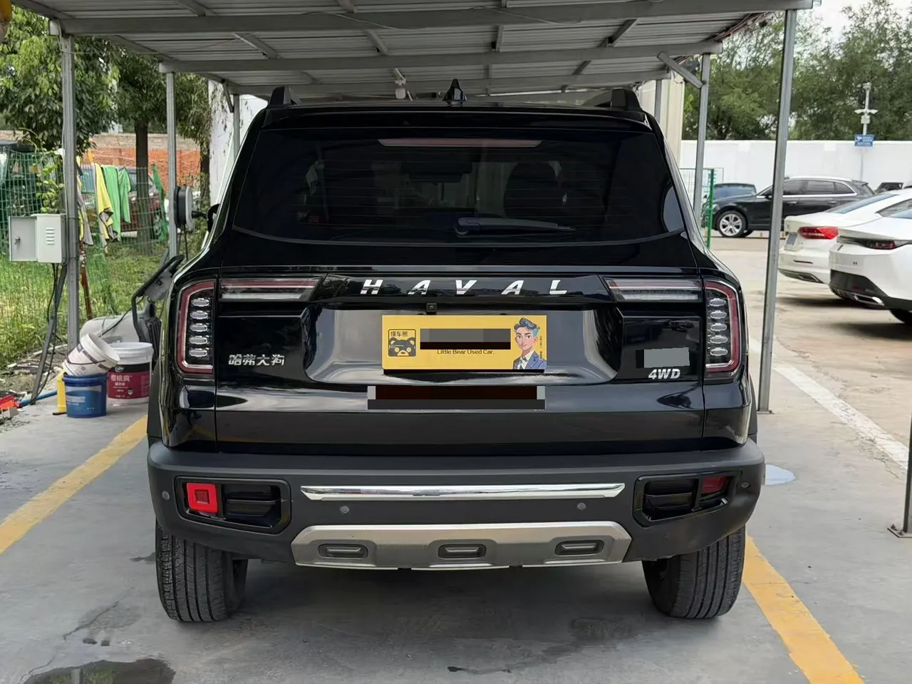 Haval 2022 big dog 2.0T 4-wheel drive Chinese garden dog version automatic gear 12