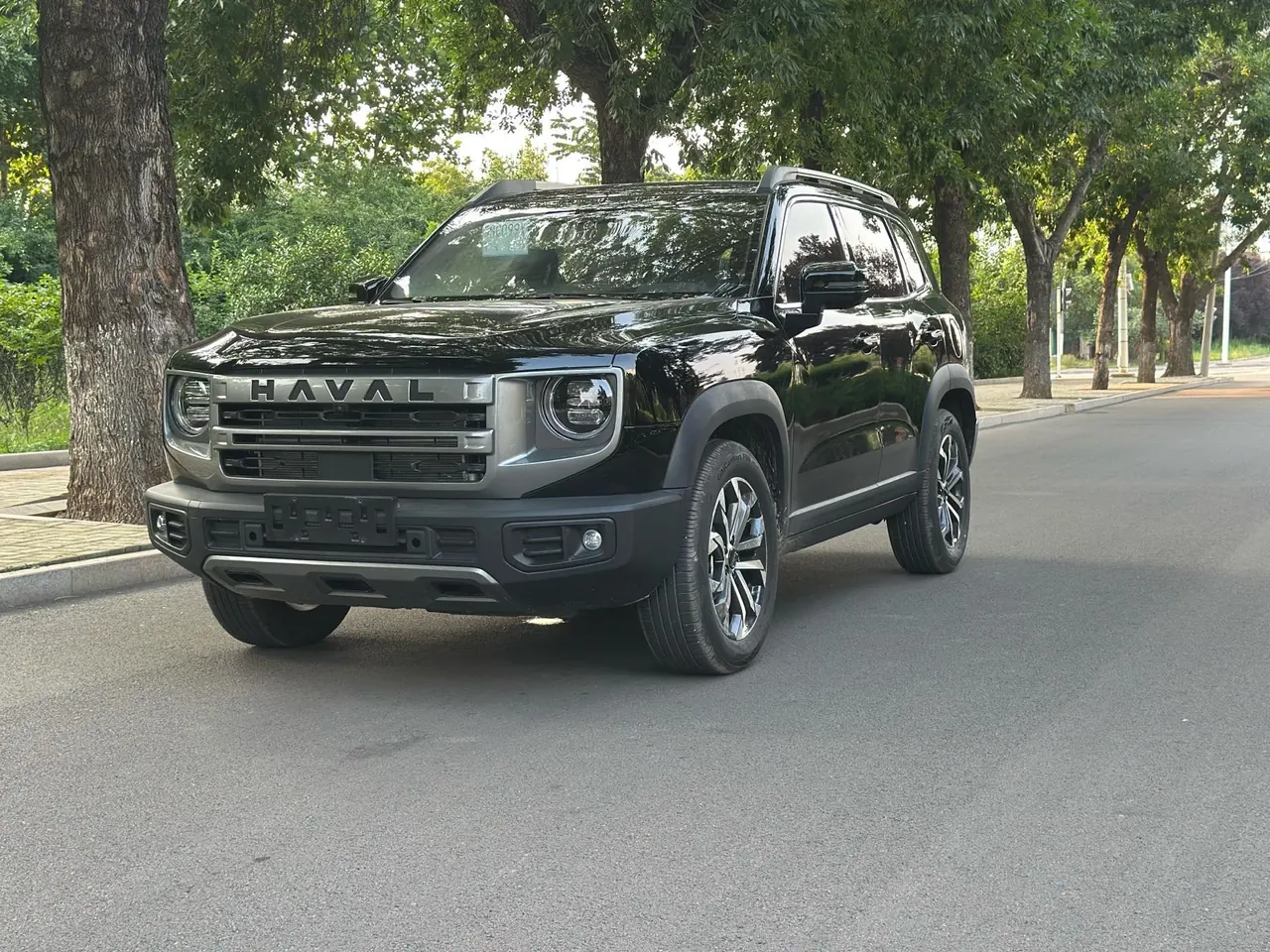 Haval 2024 big dogs 1.5T border animal husbandry version of automatic gear - View 1