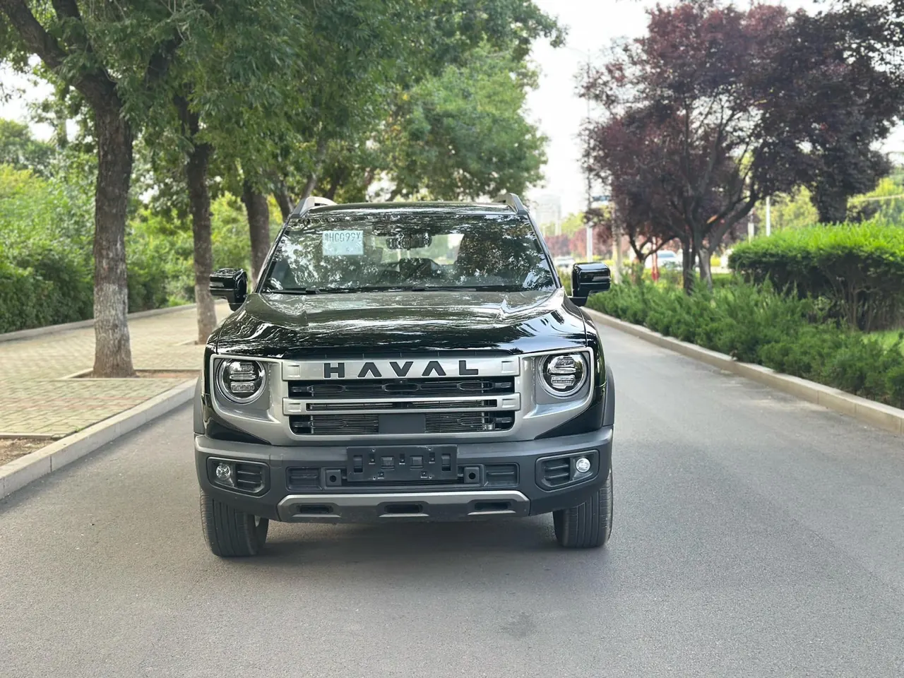 Haval 2024 big dogs 1.5T border animal husbandry version of automatic gear 2