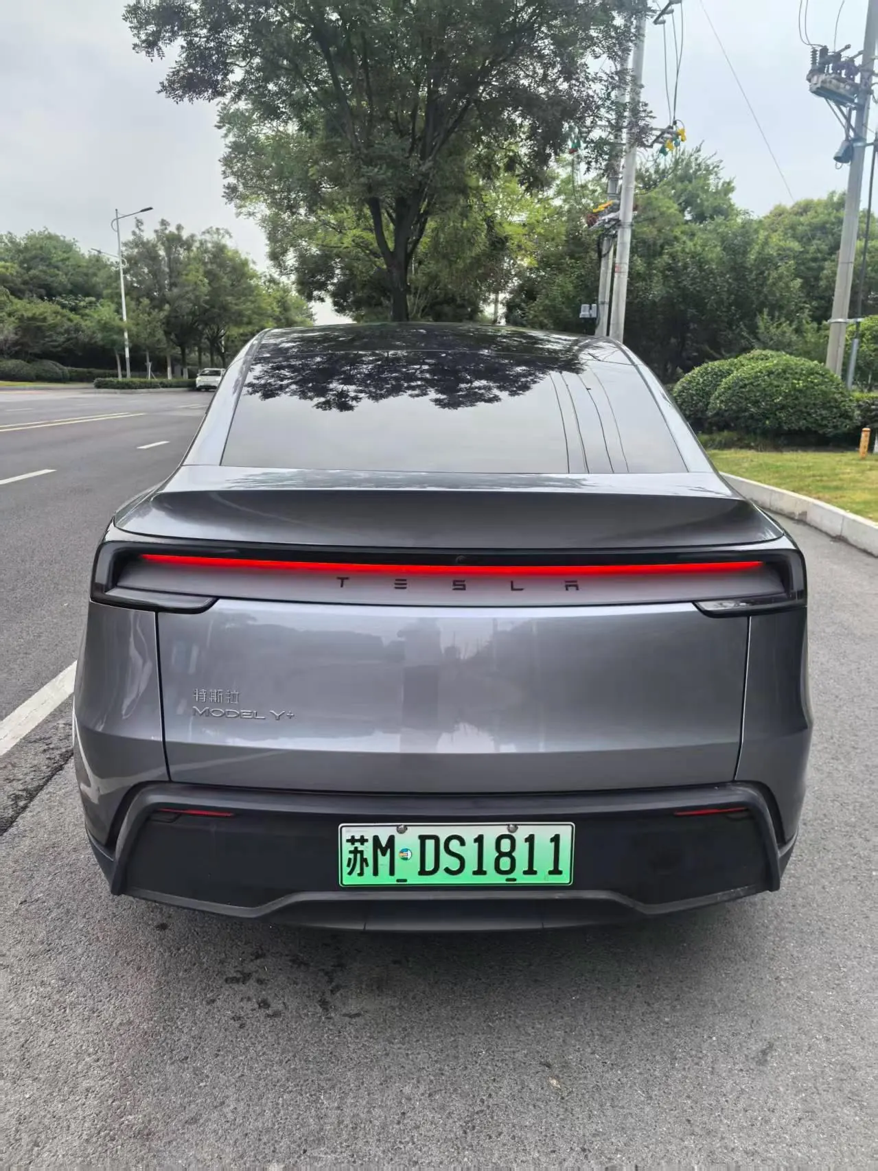 Tesla 2026 Model Y Long Range Rear-Wheel-Drive Automatic 9