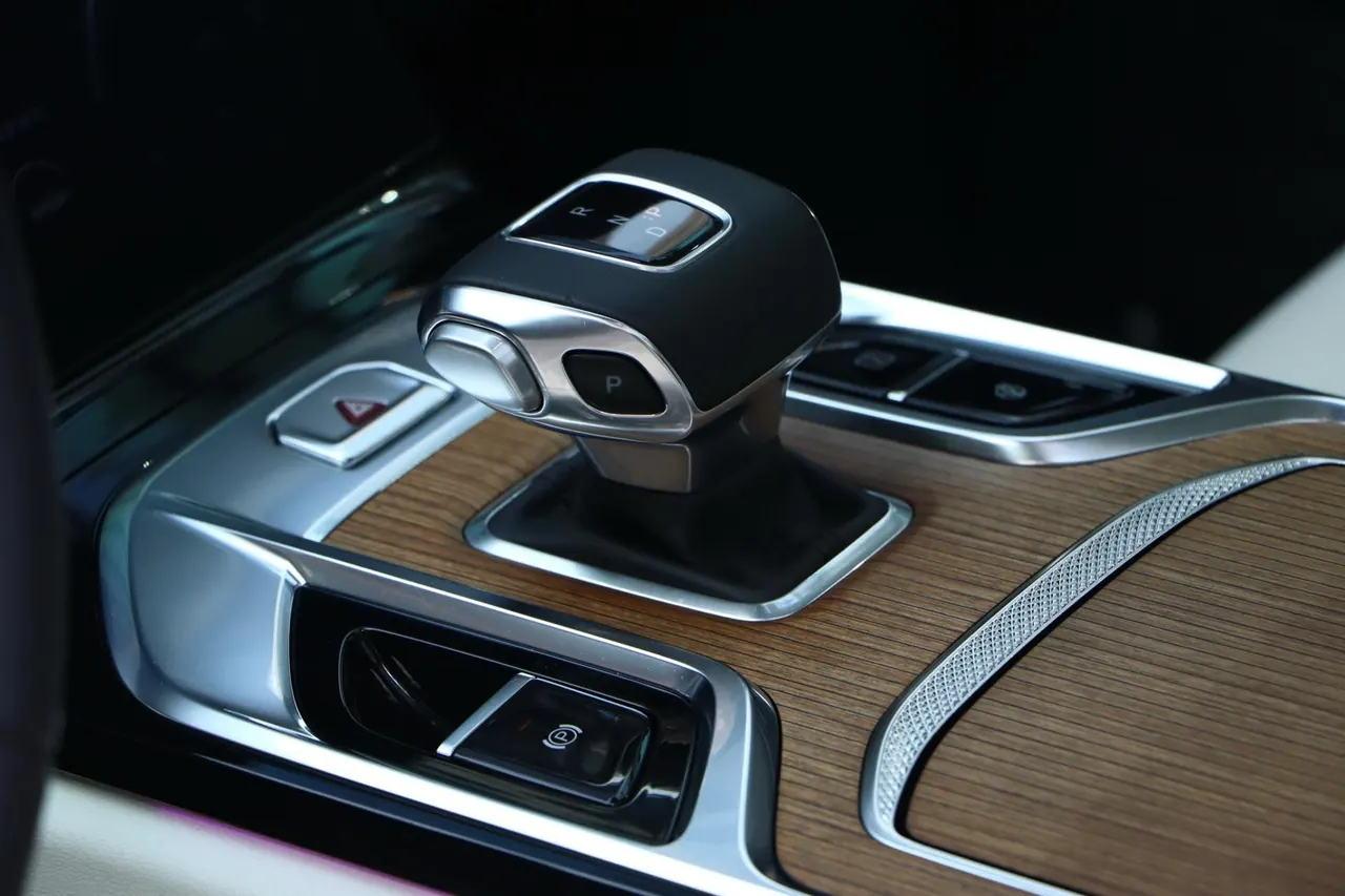 HongQi 2021 E-HS9 flag, collar 4 automatic gear 10