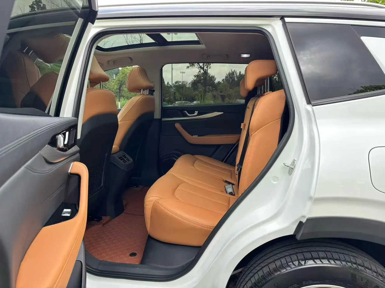 Weltmeister 2021W 6 520km PRO All-round Automatic Gear 9