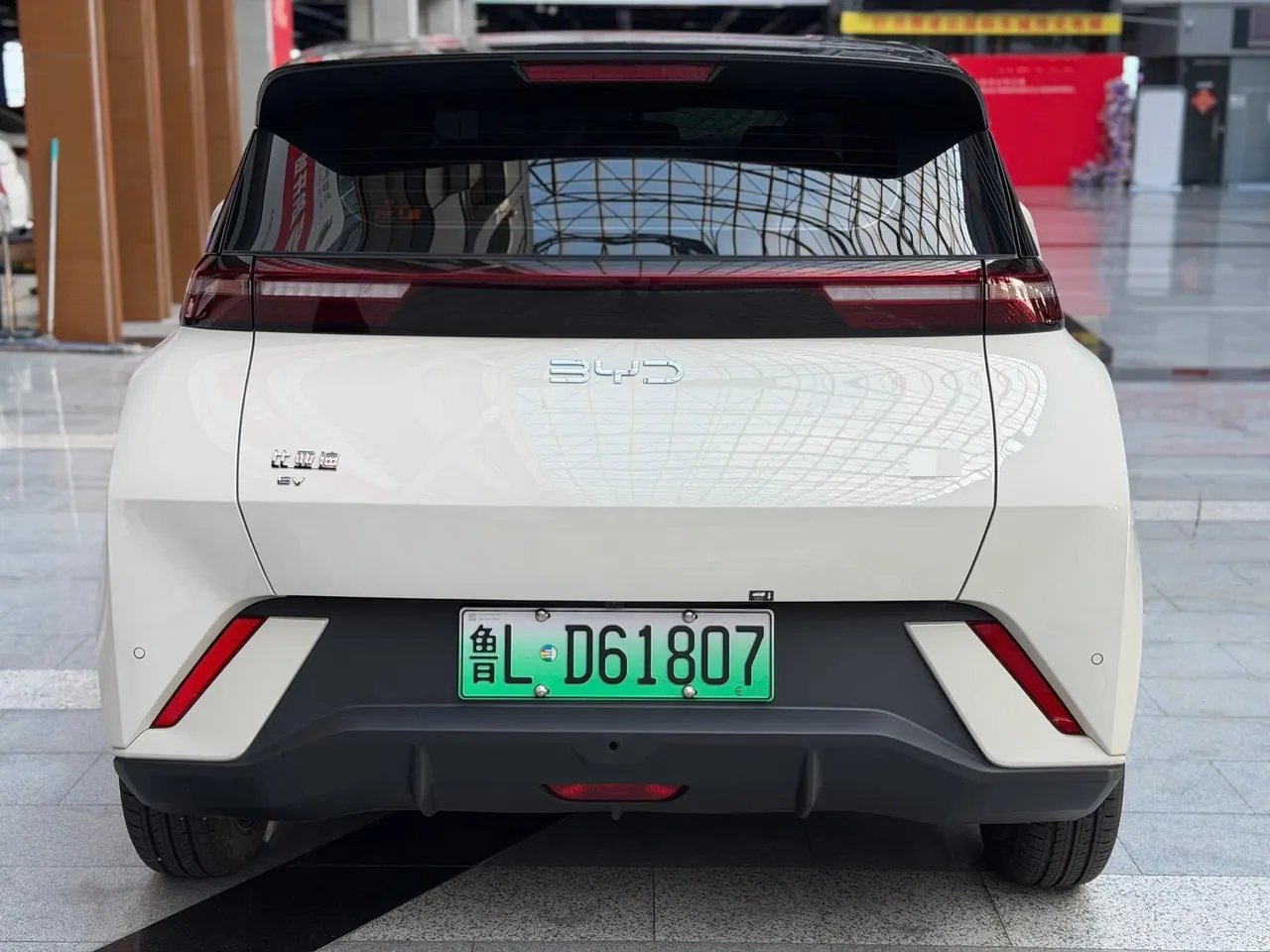 BYD 2025 seagulls 305km free version automatic gear 5
