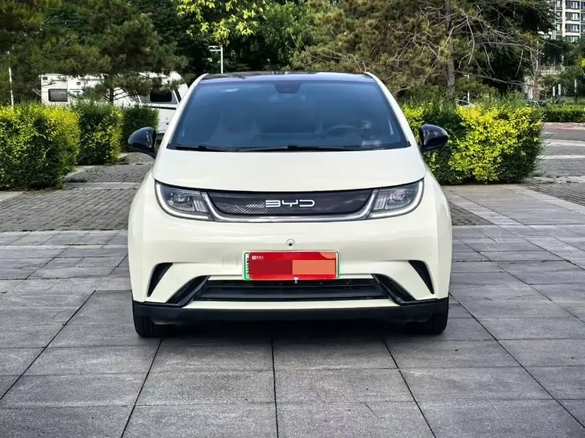 BYD 2023 Dolphin 420km Fashion Edition Automatic 2