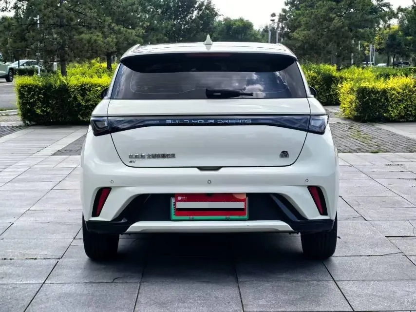 BYD 2023 Dolphin 420km Fashion Edition Automatic 8