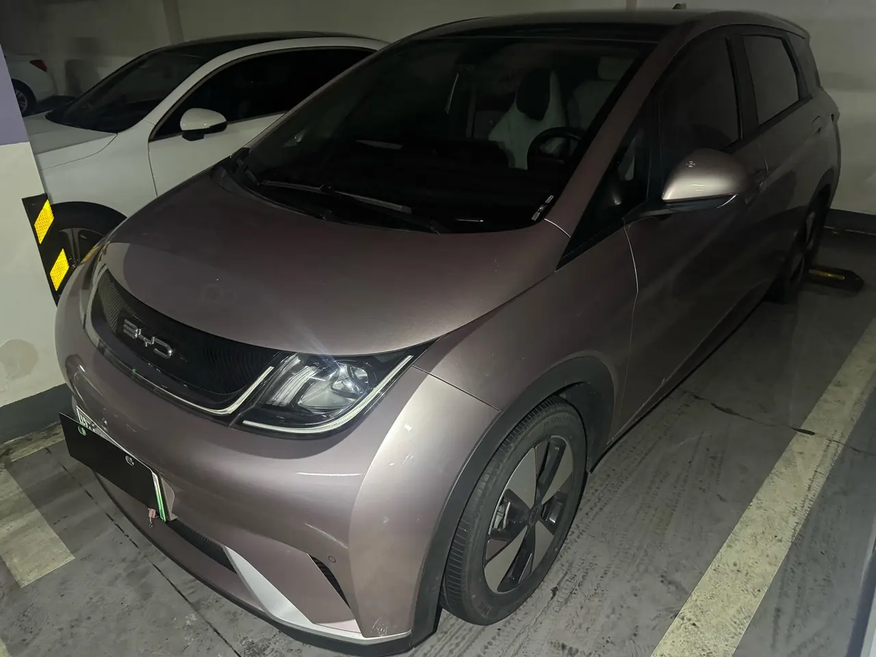 BYD 2023 Dolphin 420km Fashion Edition Automatic - View 1