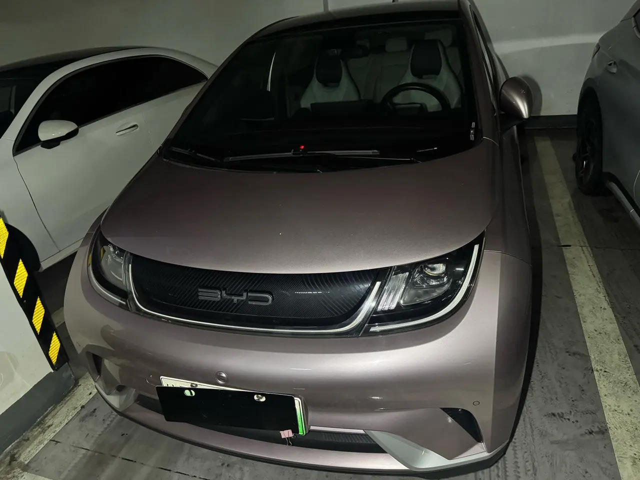 BYD 2023 Dolphin 420km Fashion Edition Automatic 2