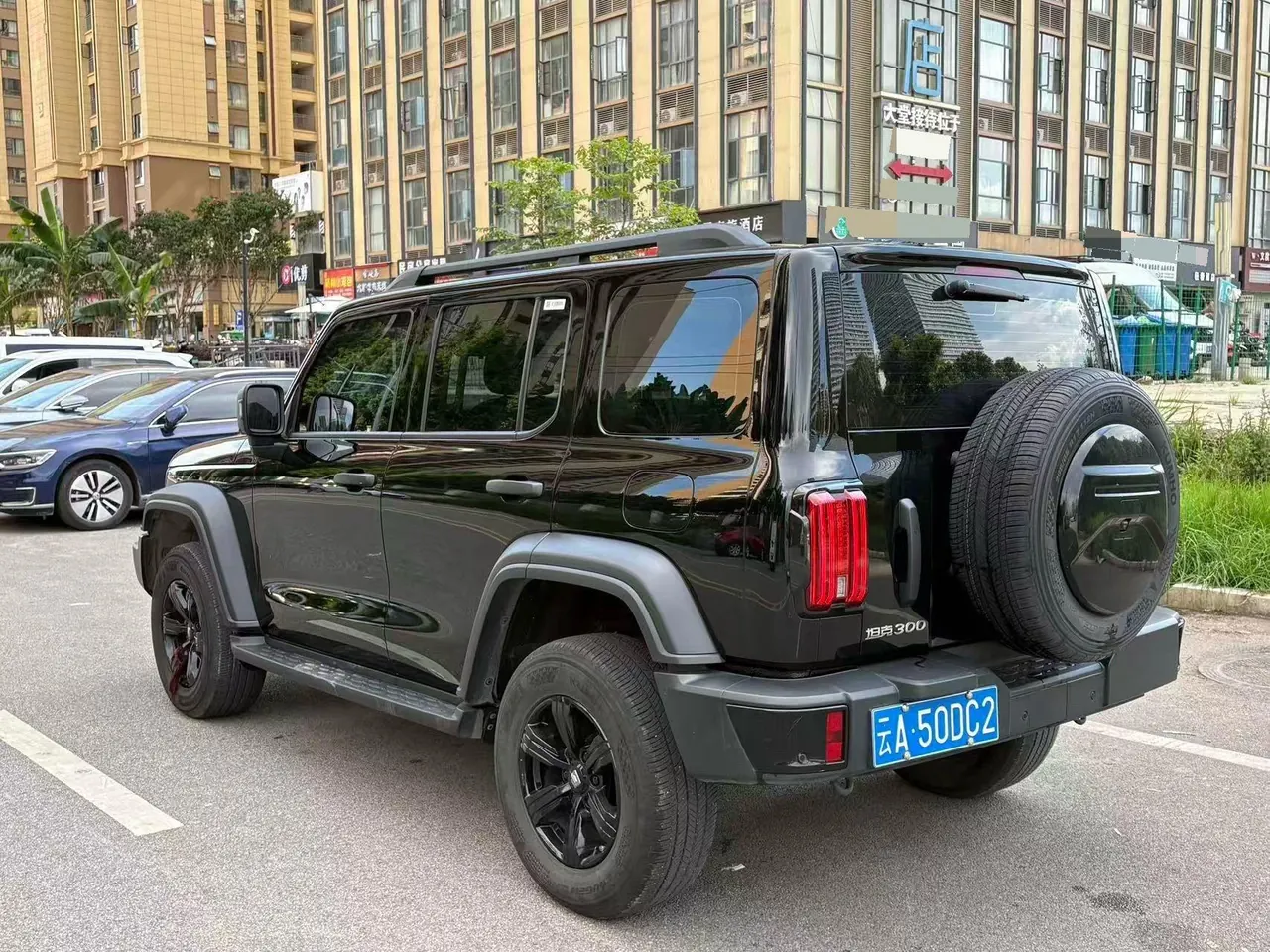 Tank 2023 Tank 300 2.0T Off-road Conqueror Automatic 9