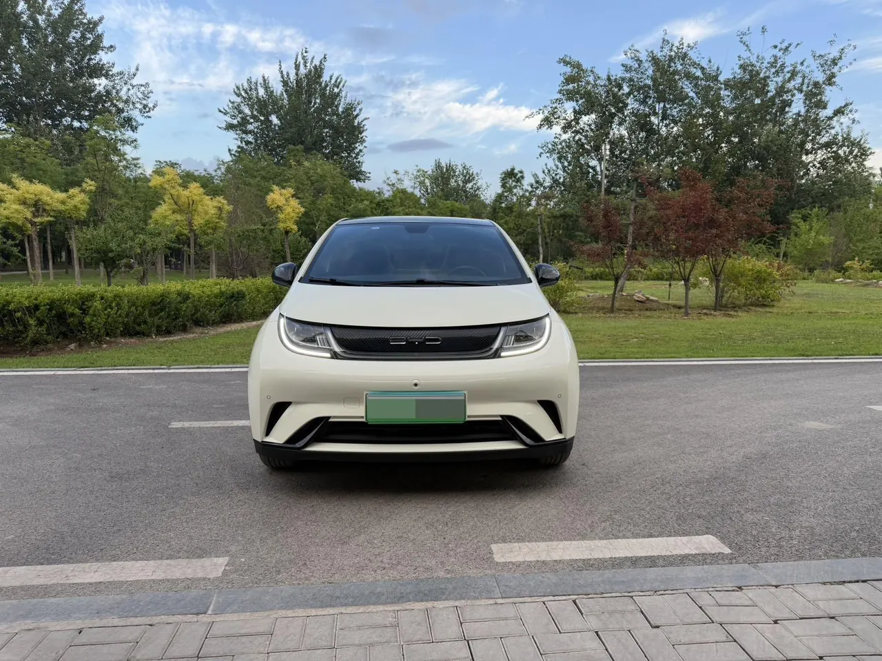 BYD 2023 Dolphins 420km Free Edition Automatic 2