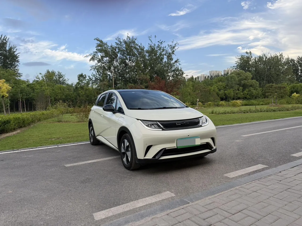 BYD 2023 Dolphins 420km Free Edition Automatic 3
