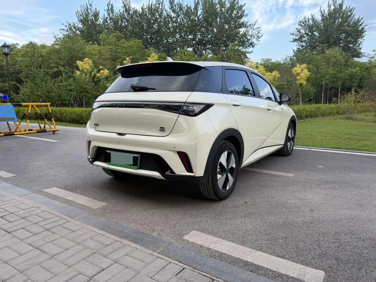 BYD 2023 Dolphins 420km Free Edition Automatic 8