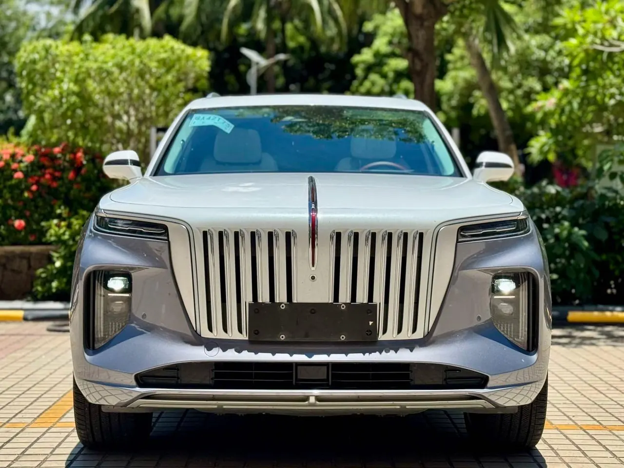 HongQi 2021 E-HS9 flag, collar 4 automatic gear 2