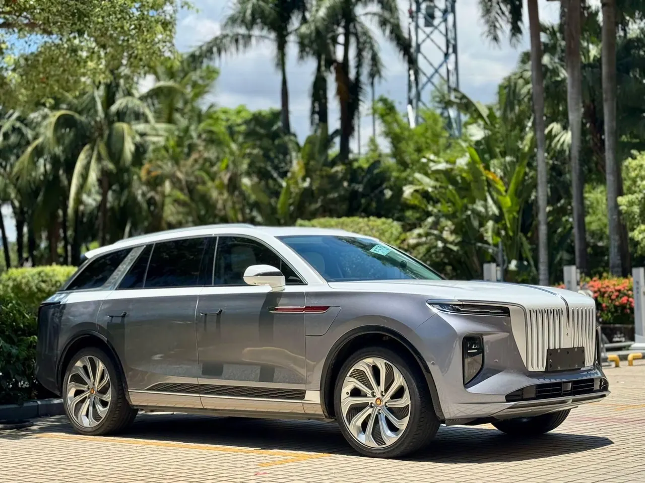 HongQi 2021 E-HS9 flag, collar 4 automatic gear 3