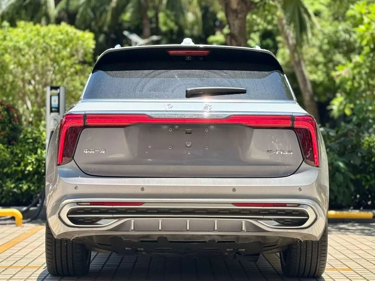 HongQi 2021 E-HS9 flag, collar 4 automatic gear 8
