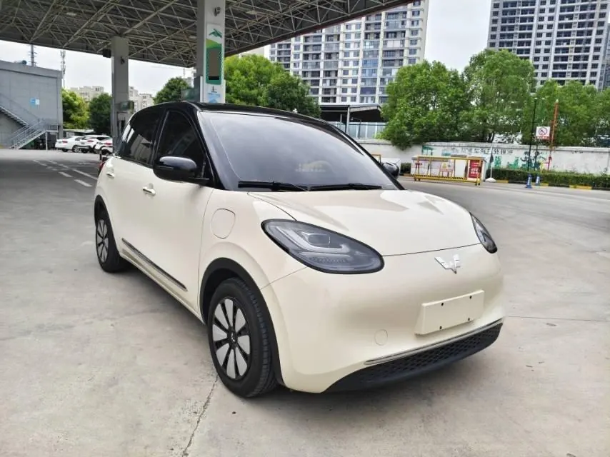 WuLing 2025 Plantronics 333km LingBox Connected Automatic Gear 6