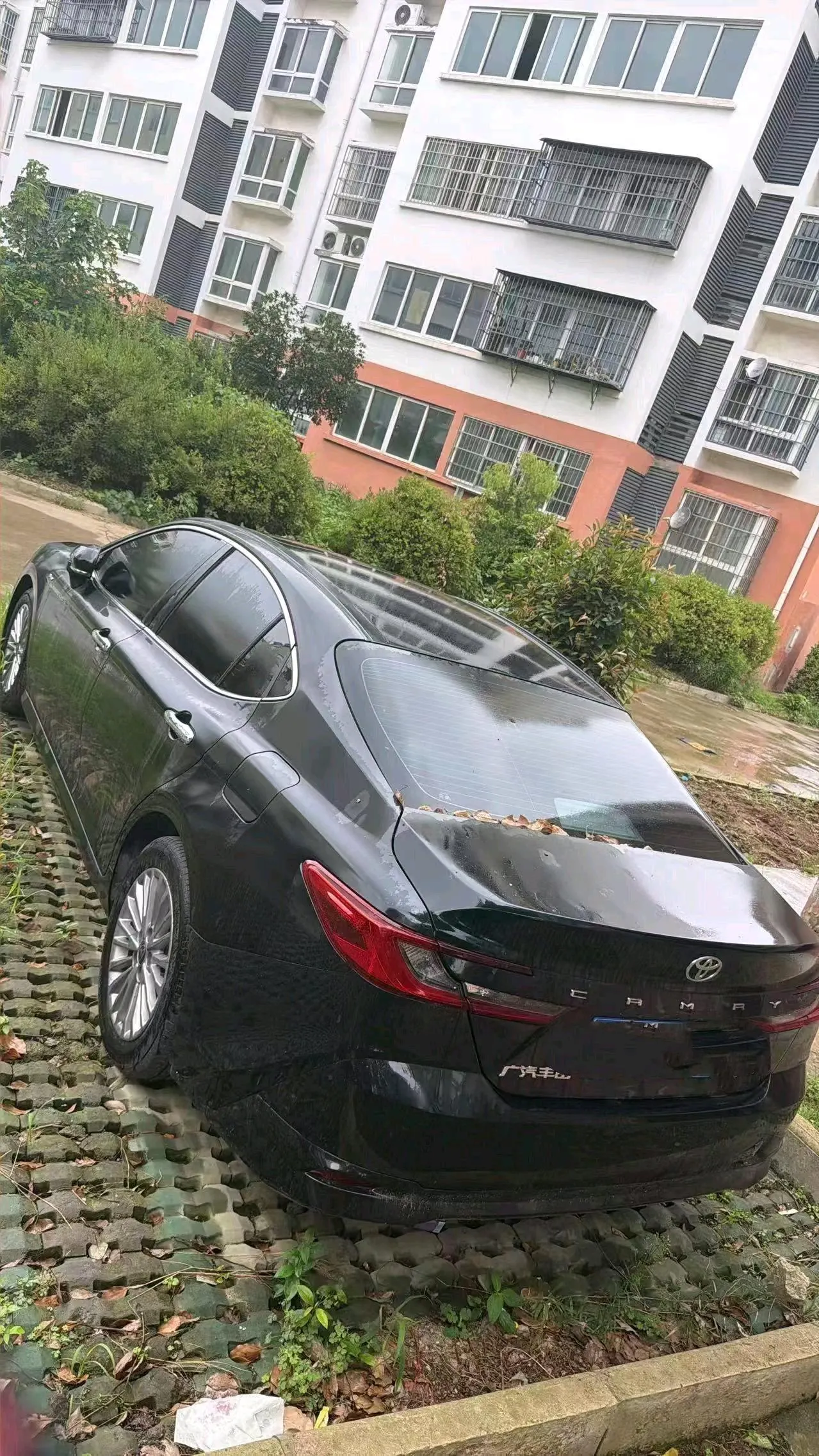 Toyota 2024 Camry Dual Engine 2.0HGVP Stepless Deluxe Automatic Gear 5