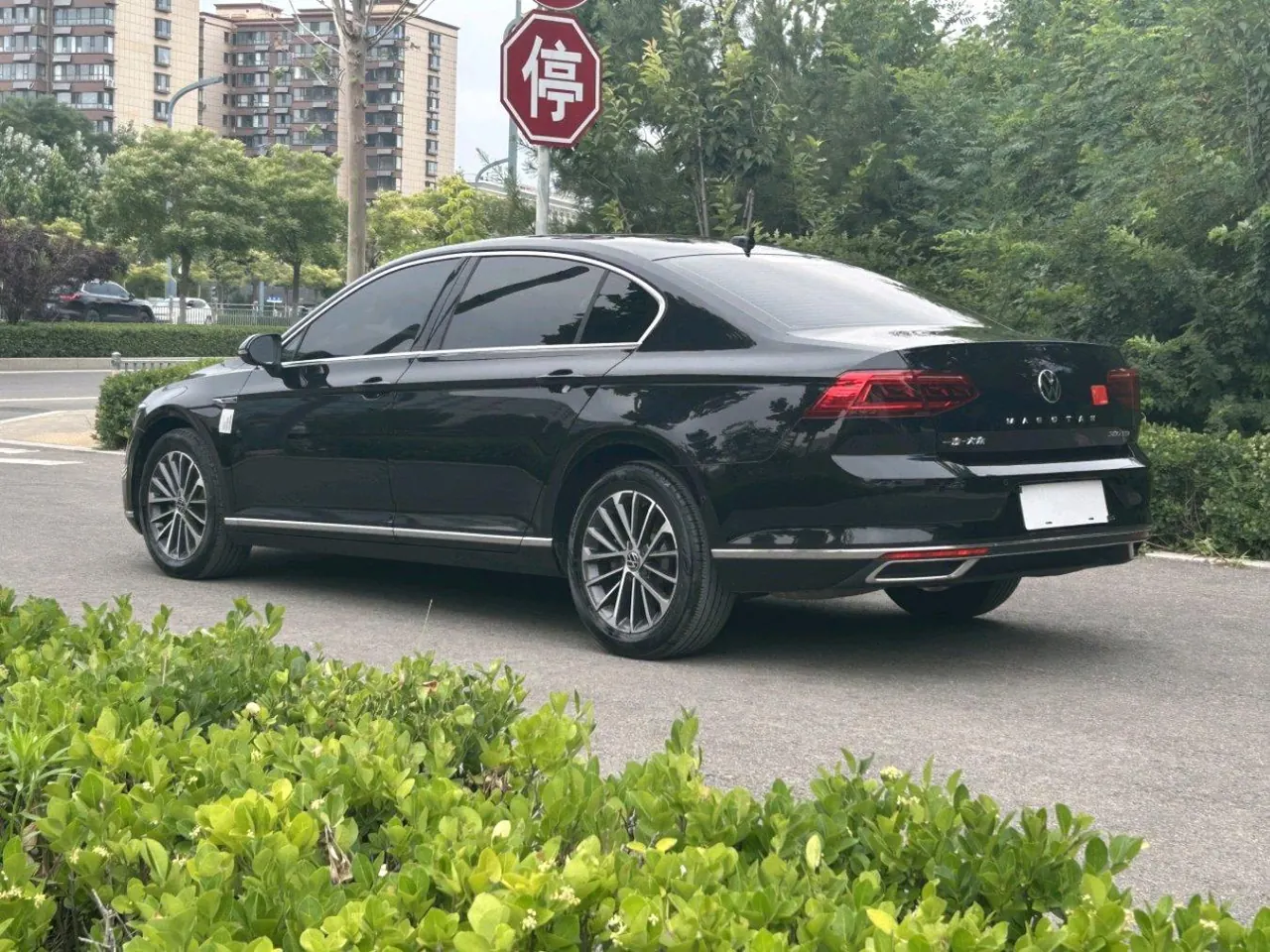 Volkswagen 2020 Magotan 2.0TSI 380TSI Luxury Automatic 5