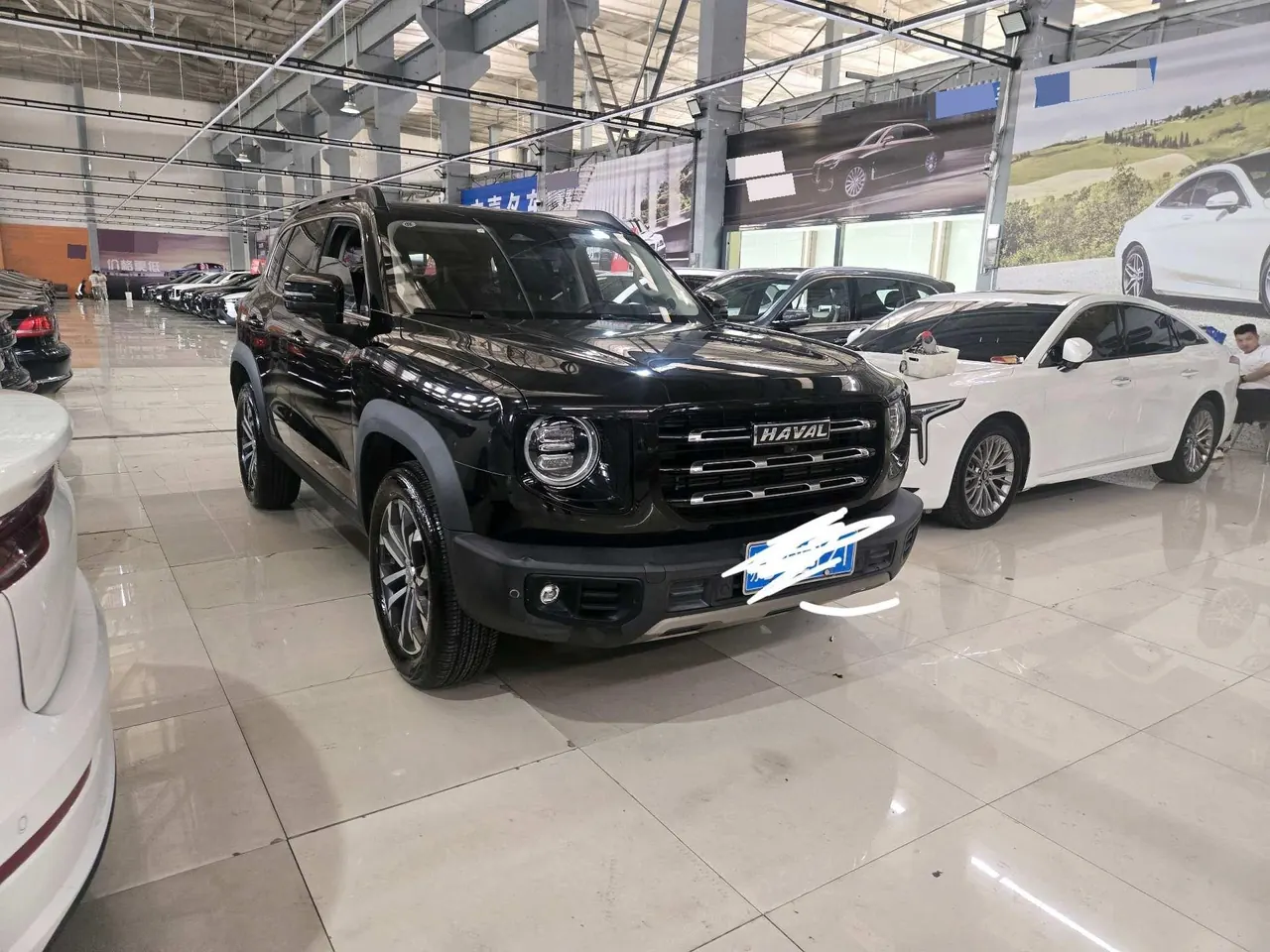 Haval 2021 Big Dogs 1.5T Border Animal Husbandry Wangcai Edition Automatic Gear 2