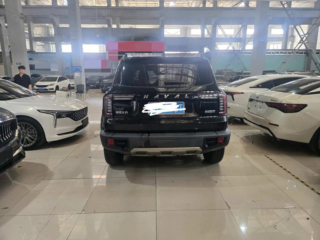 Haval 2021 Big Dogs 1.5T Border Animal Husbandry Wangcai Edition Automatic Gear 6