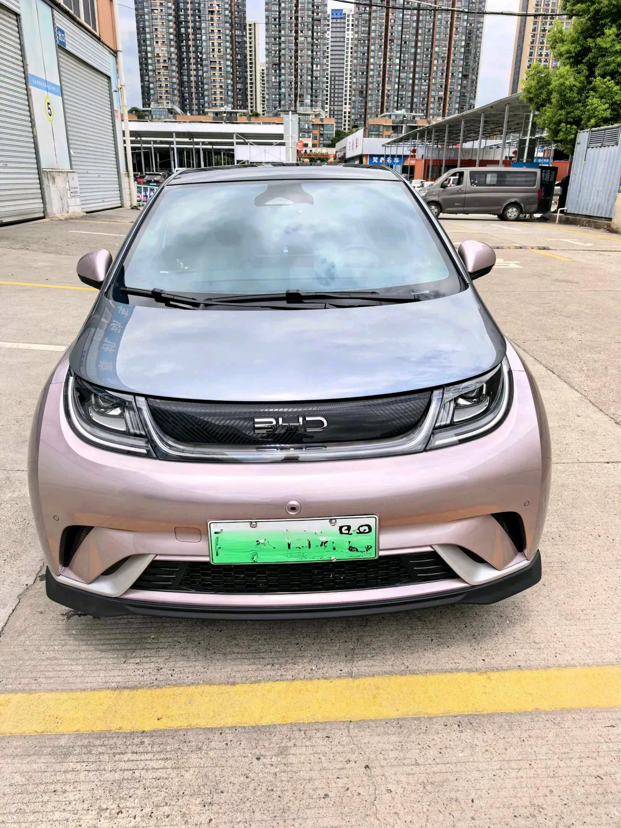 BYD 2025 Dolphins 520km Knight Edition Automatic Gear 2