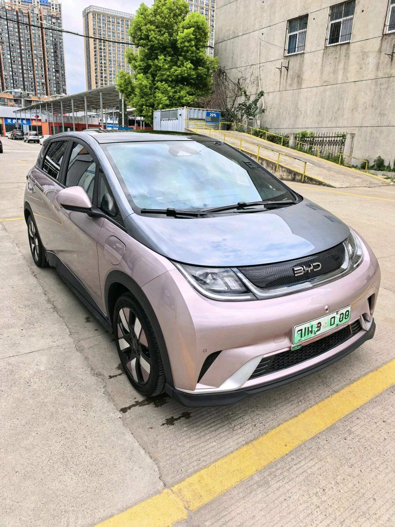 BYD 2025 Dolphins 520km Knight Edition Automatic Gear 3