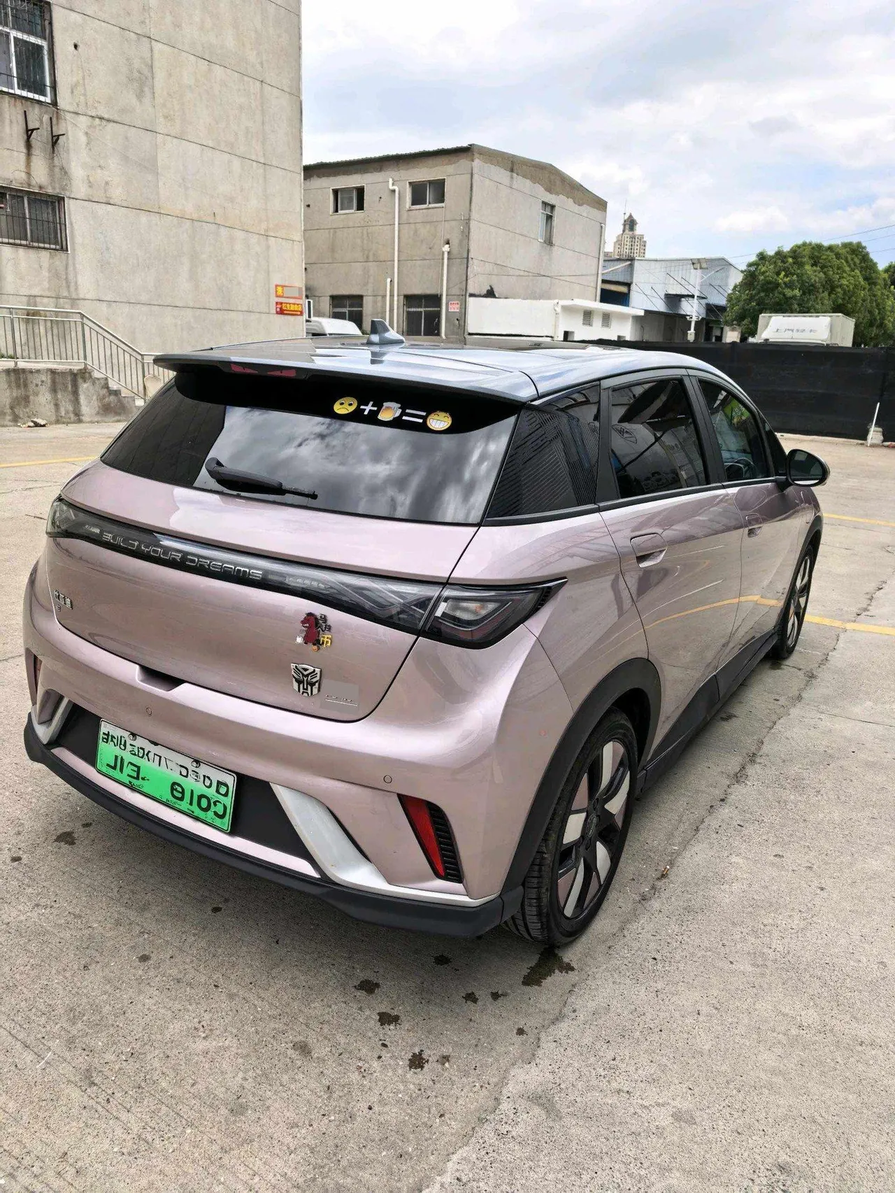 BYD 2025 Dolphins 520km Knight Edition Automatic Gear 4
