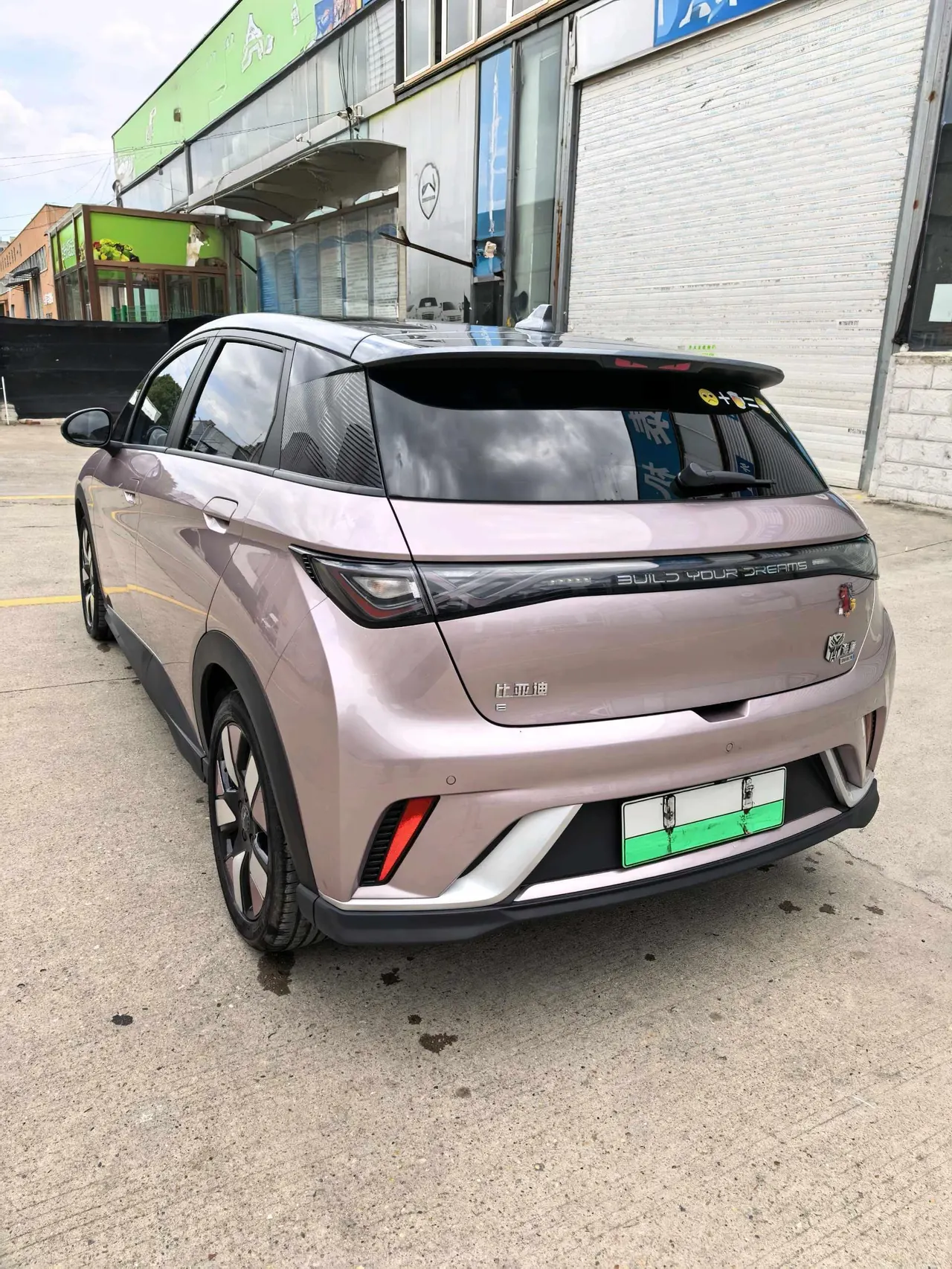 BYD 2025 Dolphins 520km Knight Edition Automatic Gear 5